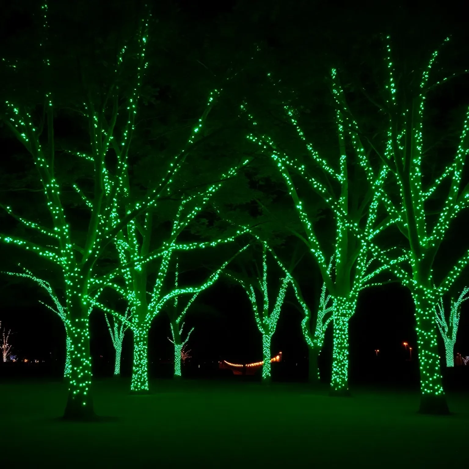 Beaufort County Shines Green in November to Honor Veterans with Operation Green Light Initiative