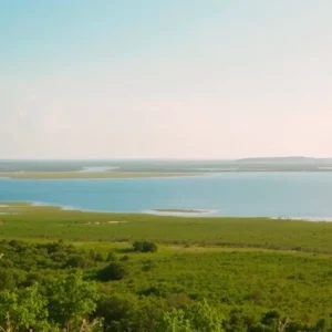 Scenic view of Morgan Island with Rhesus monkeys in their habitat